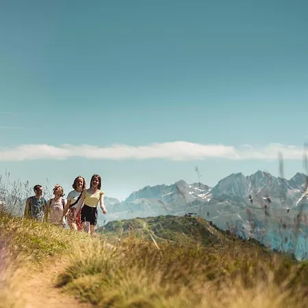 Ambiente B21 Bettmeralp