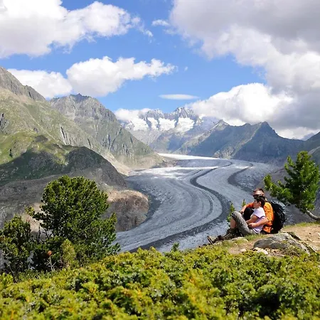 Ambiente B21 公寓 贝特默阿尔卑